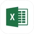 Logo Excel