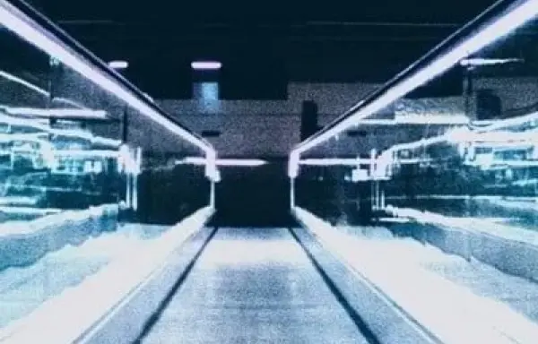 Von „you do IT for me“ zu „I do IT myself“ und „IT does it automatically“