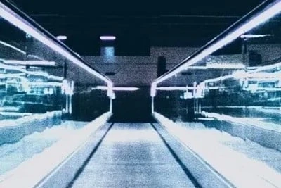 Von „you do IT for me“ zu „I do IT myself“ und „IT does it automatically“