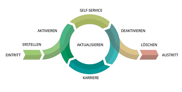 user lifecycle